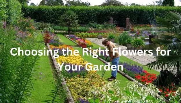 Right Flowers for Your Garden