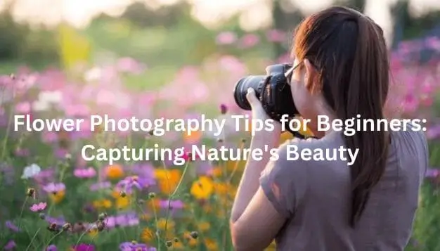 Flower Photography Tips for Beginners: Capturing Nature's Beauty