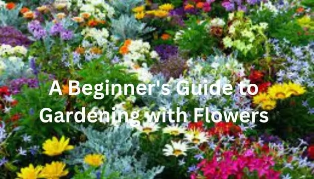 A Beginner's Guide to Gardening with Flowers: Cultivating Beauty and Joy