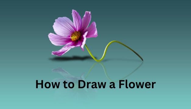 Learning How to Draw a Flower