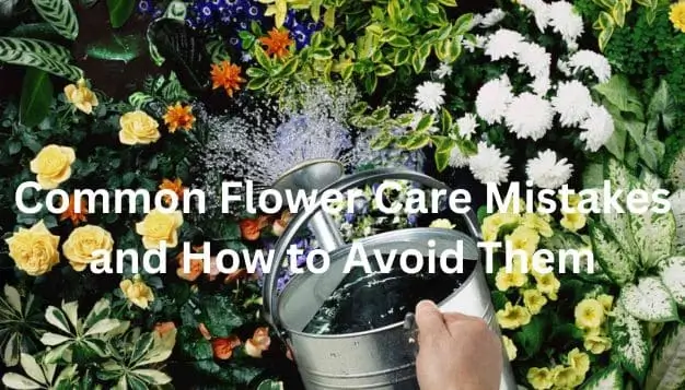 Flower Care Mistakes
