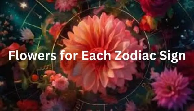 Flowers for Each Zodiac Sign: Astrological Insights