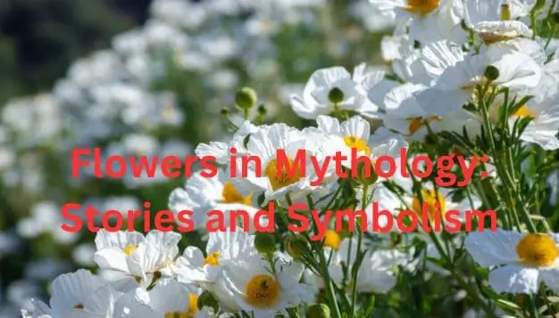 Flowers in Mythology: Stories and Symbolism