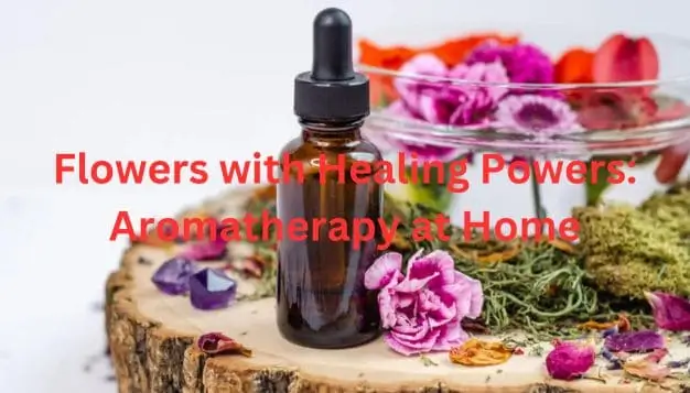 Flowers with Healing Powers: Aromatherapy at Home