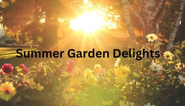 Summer Garden Delights: Flourishing Flowers for the Hot Months