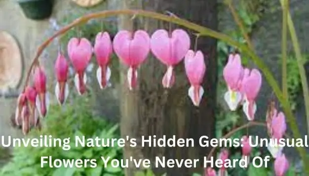 Unveiling Nature's Hidden Gems: Unusual Flowers You've Never Heard Of