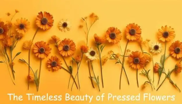 The Timeless Beauty of Pressed Flowers: A Dive into the Art and Craft